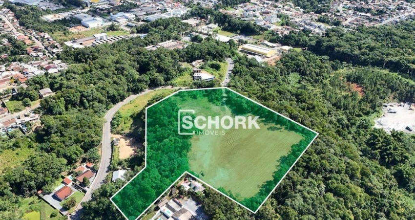 Terreno à venda, 40000 m² por R$ 16.000.000,00 - Itoupavazinha - Blumenau/SC