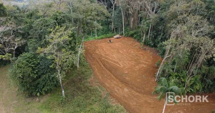 Terreno à venda, 20004 m² por r$ 350.000,00 - pomerode fundos - pomerode/sc