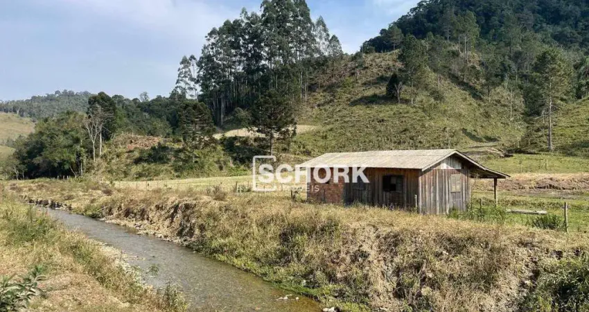 Sítio à venda, 120.950 m² por r$ 250.000 - centro - rio do campo/sc