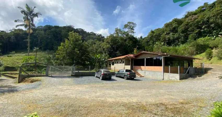 Sítio com 3 dormitórios à venda, 38504 m² por R$ 985.000,00 - Vila Itoupava - Blumenau/SC