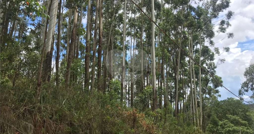 Terreno à venda na Rodovia Presidente Tancredo de Almeida Neves, Jardim Santa Gertrudes, Jundiaí