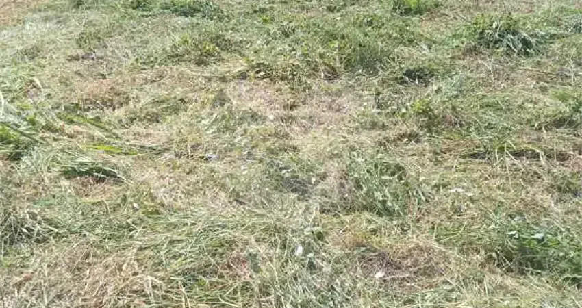 Terreno à venda na Municipal Fazenda Santana, Bosque, Vinhedo
