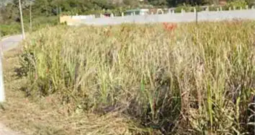 Terreno comercial à venda na José Roschel Rodrigues, S/N, Interlagos, São Paulo