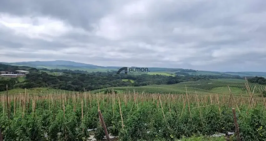 Fazenda à venda na Goiabal, Zona Rural, Otacílio Costa