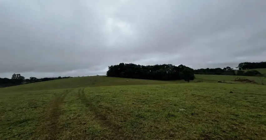 Chácara / sítio à venda na Marudim, Sn, Zona Rural, Vargem