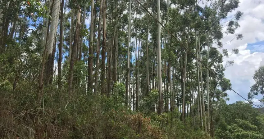 Terreno à venda no Castanho, Jundiaí