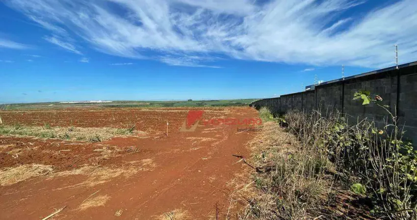 Terreno à venda na Avenida Limeira, Areião, Piracicaba