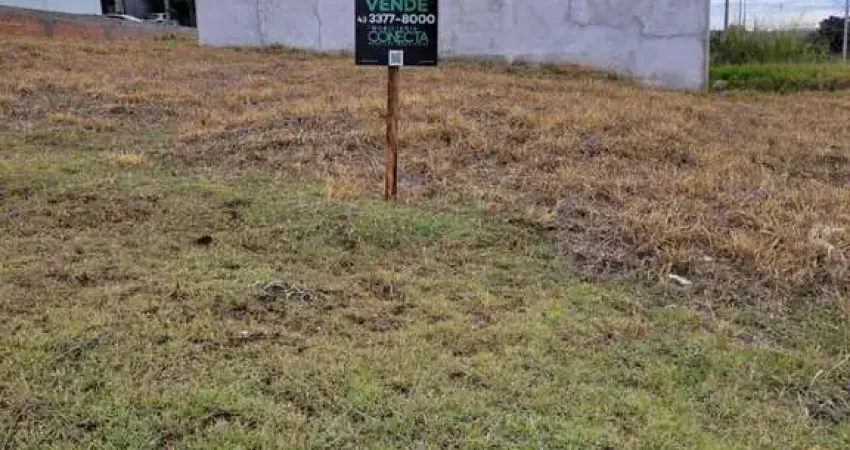 Terreno à venda na Gleba Esperança, Londrina 