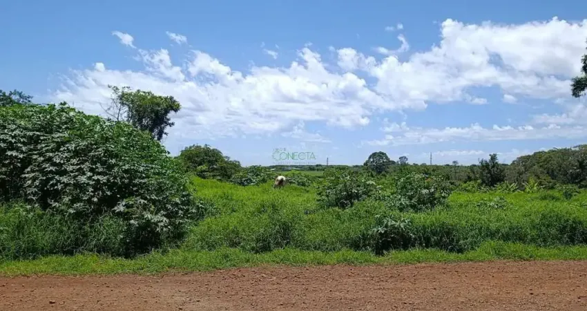 Terreno comercial à venda na Rua Joaquim Felismino da Silva, Cilo 3, Londrina