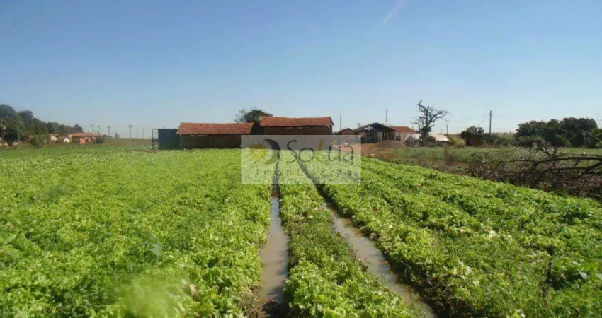 Área à venda, 66726 m² por r$ 2.600.000,00 - conjunto habitacional residencial olímpia - campinas/sp