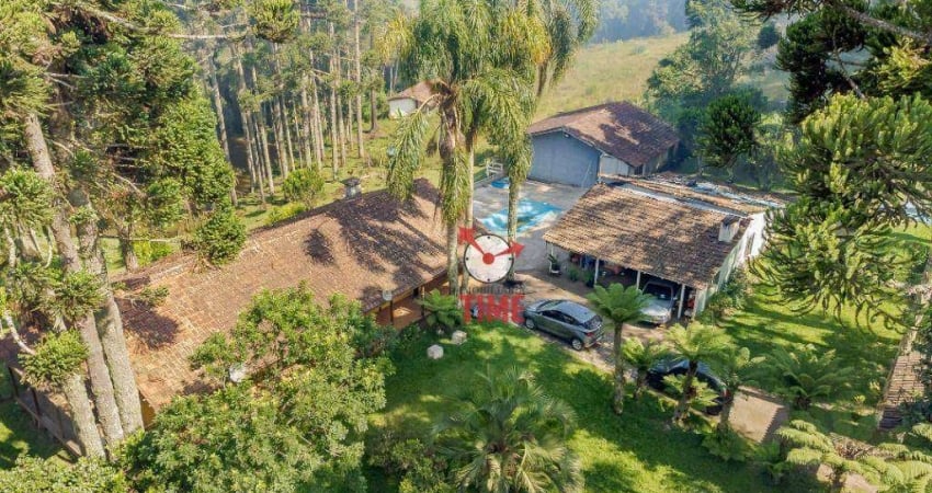 Chácara com 5 dormitórios à venda, 129 m² por R$ 1.250.000,00 - Borda Do Campo - São José dos Pinhais/PR