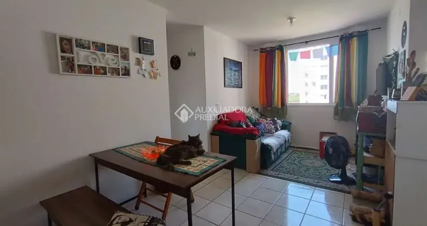 Apartamento com 3 quartos à venda na Rua Tenente Ary Tarrago, 1640, Protásio Alves, Porto Alegre