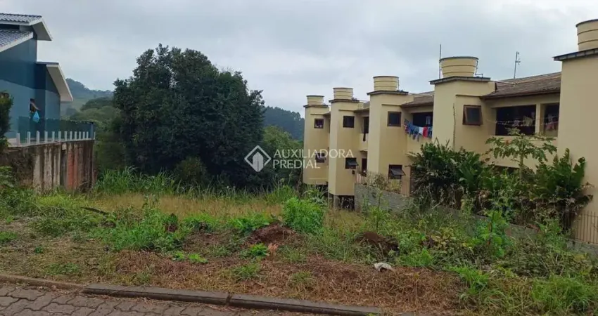 Terreno à venda na Onze Amigos, 719, Vale Direito, Dois Irmãos