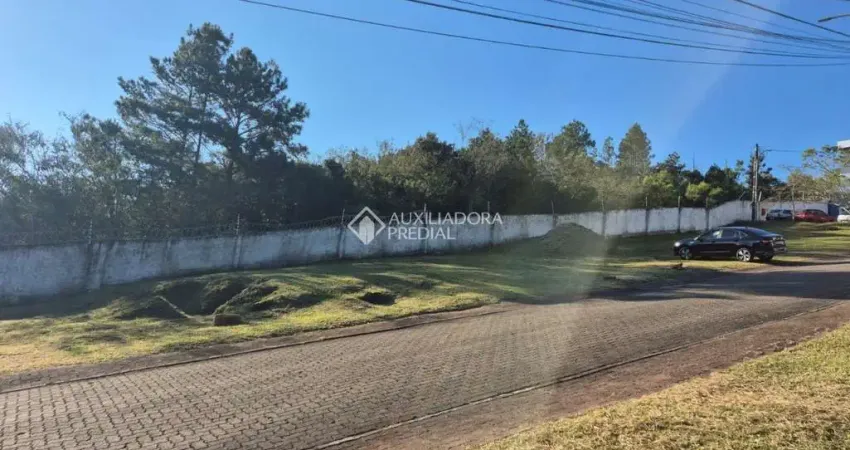 Terreno em condomínio fechado à venda na Rua Giorgio Negroni, 708, Espírito Santo, Porto Alegre