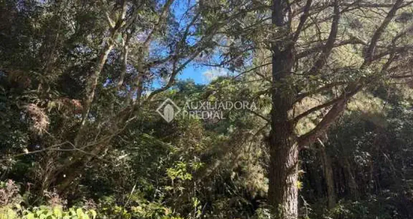 Terreno à venda na Maracajás, 13, Loteamento Colinas de são Francisco, São Francisco de Paula