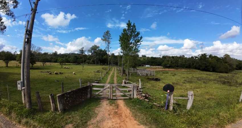 Fazenda à venda na Estrada Dionizio Cardoso de Lima, 9555, Neópolis, Gravataí