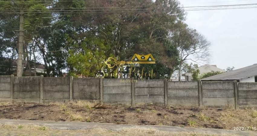 Terreno - Jardim Carvalho