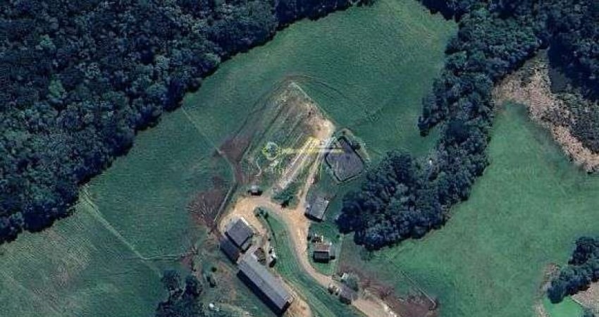 Chácara / sítio com 3 quartos à venda no Áreal Rural de Castro, Castro 
