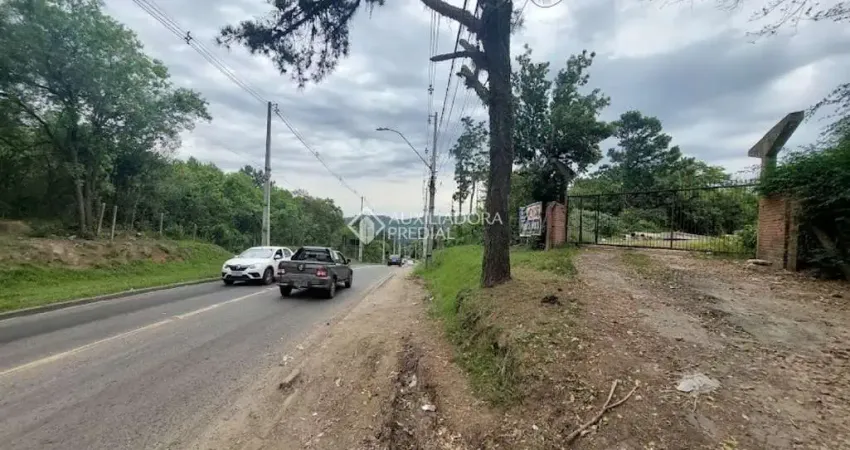 Terreno à venda na Estrada Afonso Lourenço Mariante, 4300, Lomba do Pinheiro, Porto Alegre