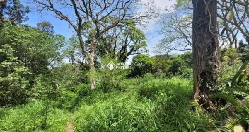 Fazenda à venda na Beco Passo da Taquara, 400, São Caetano, Porto Alegre