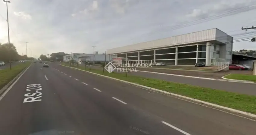 Ponto comercial para alugar na Rodovia RS-239, 1911, Operário, Novo Hamburgo