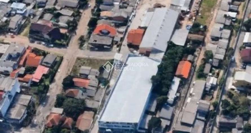 Barracão / Galpão / Depósito para alugar na Avenida Juca Batista, 2256, Cavalhada, Porto Alegre