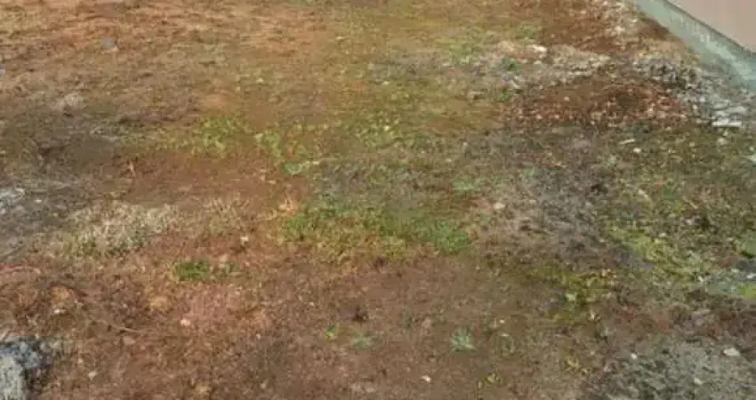 Terreno à venda na Avenida Wilson Castelo Branco, Deltaville, Biguaçu