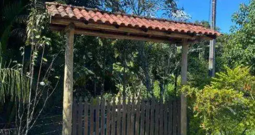 Chácara / sítio com 3 quartos à venda na Rua Maria Catarina Becker de souza, Braço São João, Santo Amaro da Imperatriz