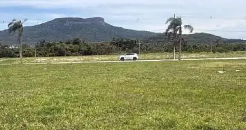 Terreno comercial à venda na Av Do Matagal, Sertão do Maruim, São José