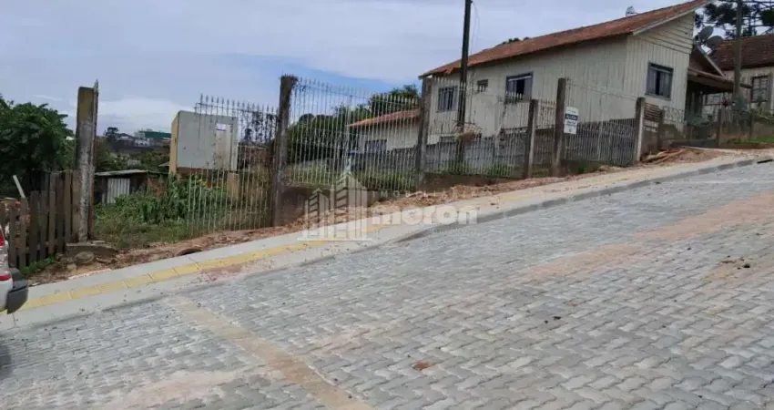 Terreno comercial para alugar no Nova Rússia, Ponta Grossa