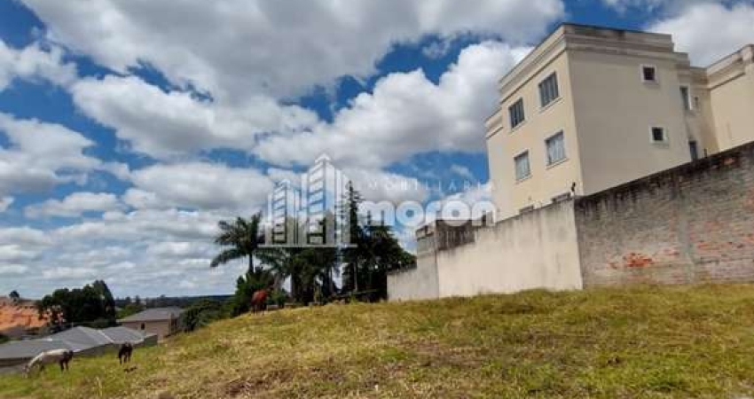 Terreno à venda na Rua Francisco Celso Baptista Rosas, 177, Jardim Carvalho, Ponta Grossa