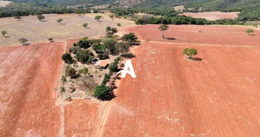 Fazenda à venda na Área Rural, Área Rural de Uberlândia, Uberlândia
