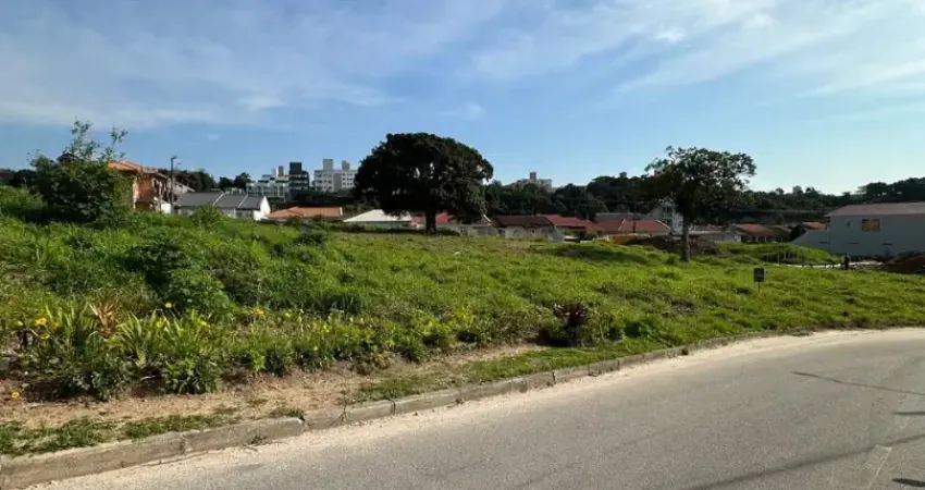 Lotes com 360 m2, plano, pronto para construir em areais/serraria
