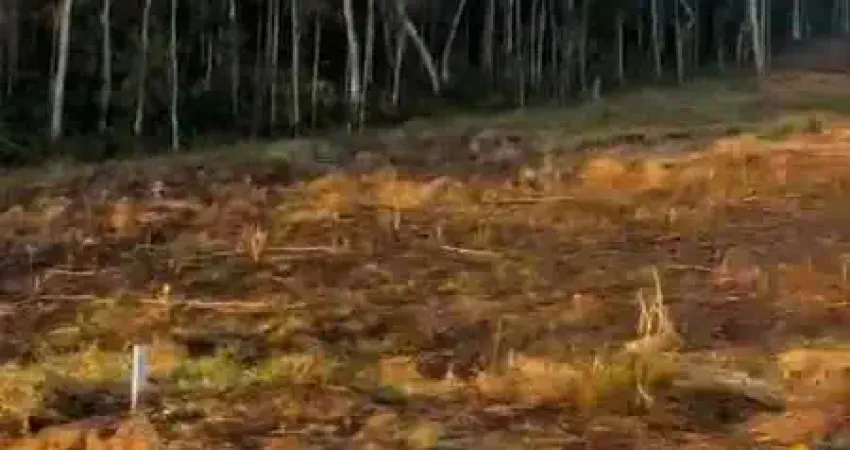 Terreno à venda na Parada Américo Alves da Costa, 800, Amparo, Nova Friburgo