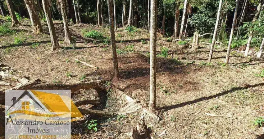 Terreno à venda na Alameda Eduardo Guinle, Centro, Nova Friburgo