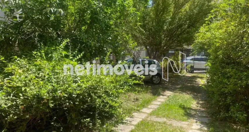 Terreno à venda na Cidade Nova, Belo Horizonte