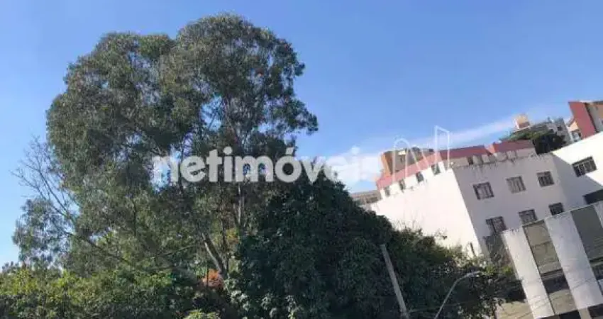 Casa com 4 quartos à venda no Nova Floresta, Belo Horizonte