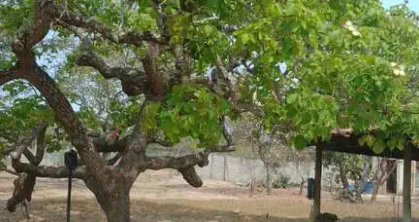 Chácara / sítio com 3 quartos à venda no São Sebastião, Betim