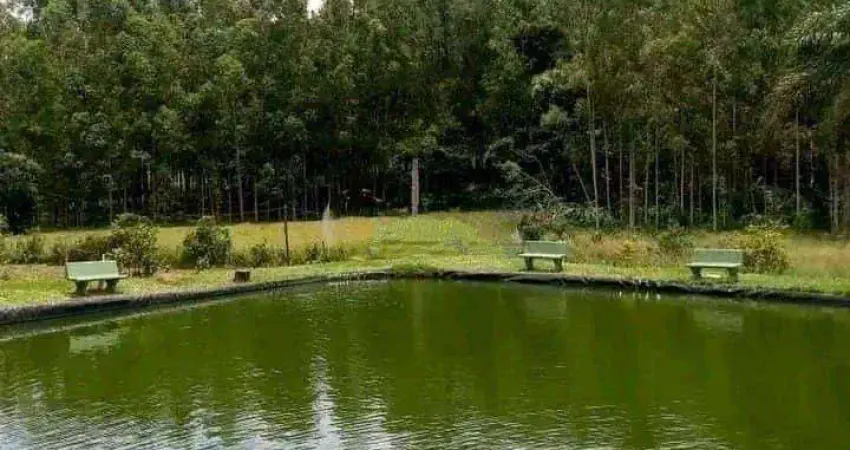 Chácara com 3 dormitórios, 6000 m² - venda por r$ 690.000 ou aluguel por r$ 4.500/mês - dos vitorinos - silvianópolis/mg