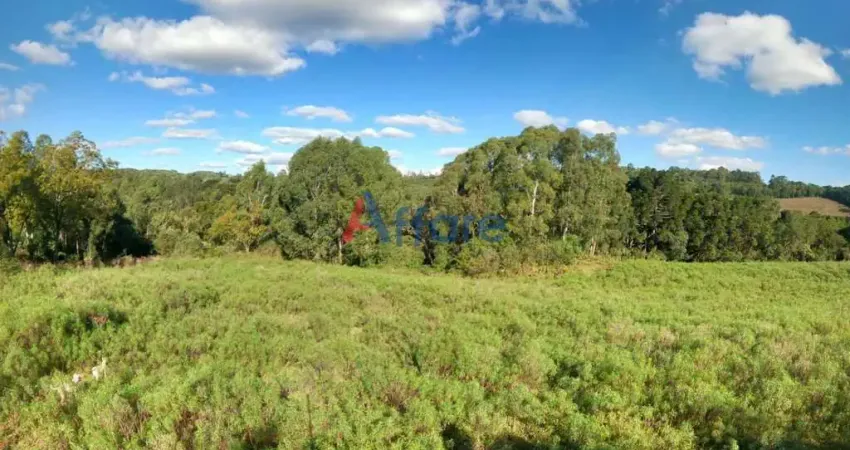 Terreno à venda no São Cristóvão (Distrito), Flores da Cunha 
