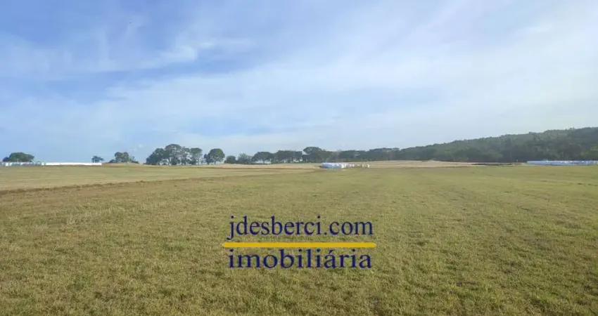 Chácara / sítio à venda na Gleba estrada HBR 030, sn, Zona Rural, Holambra