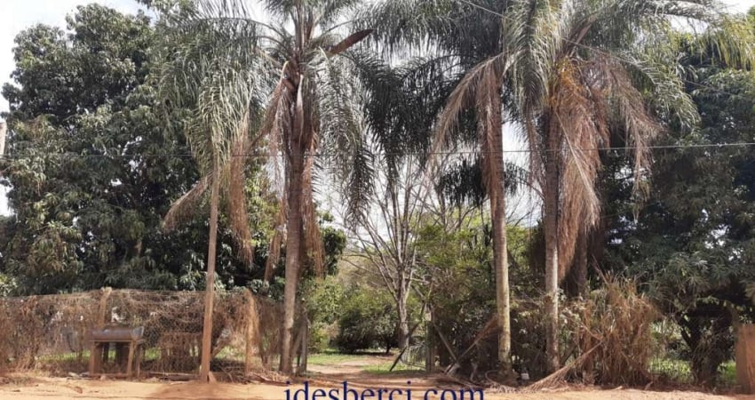 Chácara / sítio com 5 quartos à venda na Estrada HBR 253, SN, Borda da Mata, Holambra