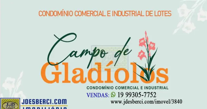 Terreno comercial à venda na Campo de Galadíolos, km30, Zona Rural, Holambra
