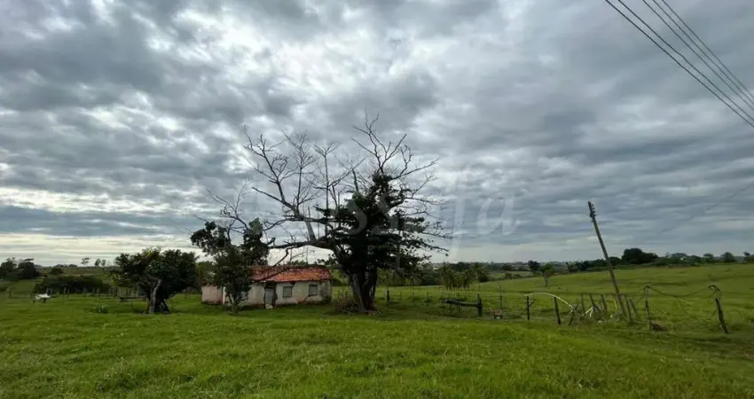 Fazenda à venda na Zona Rural, Palmeira D'Oeste