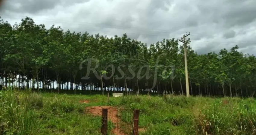 Chácara / sítio à venda na Zona Rural, Palmeira D'Oeste