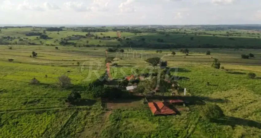 Fazenda à venda na Zona Rural, Palmeira D'Oeste 