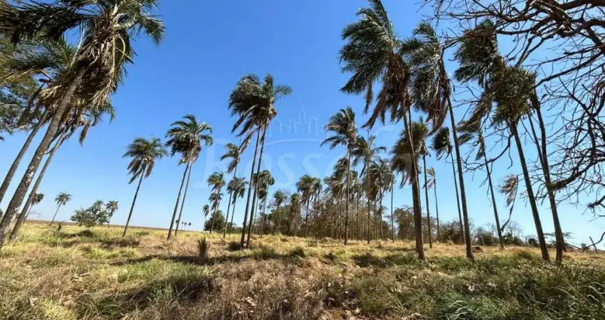 Chácara / sítio à venda na Zona Rural, Palmeira D'Oeste