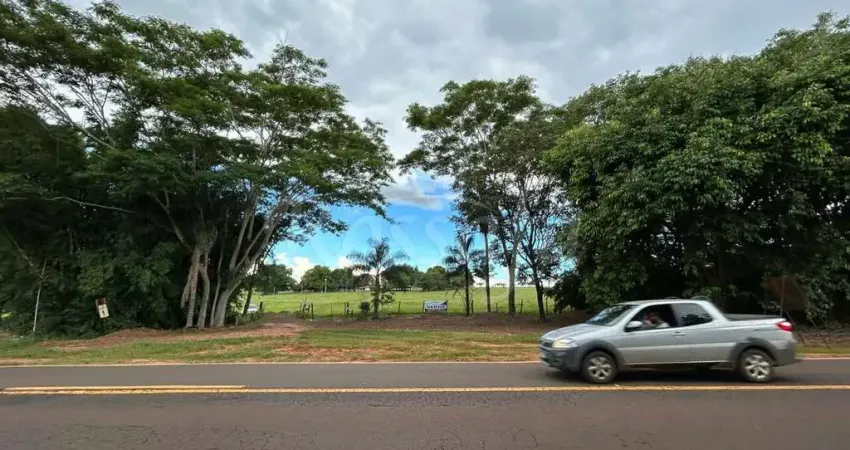 Chácara / sítio à venda na Zona Rural, Palmeira D'Oeste