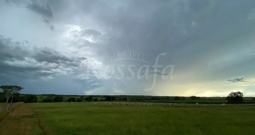 Chácara / sítio à venda na Zona Rural, Santa Rita D'Oeste 