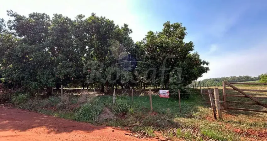 Chácara / sítio à venda na Zona Rural, Aparecida D'Oeste